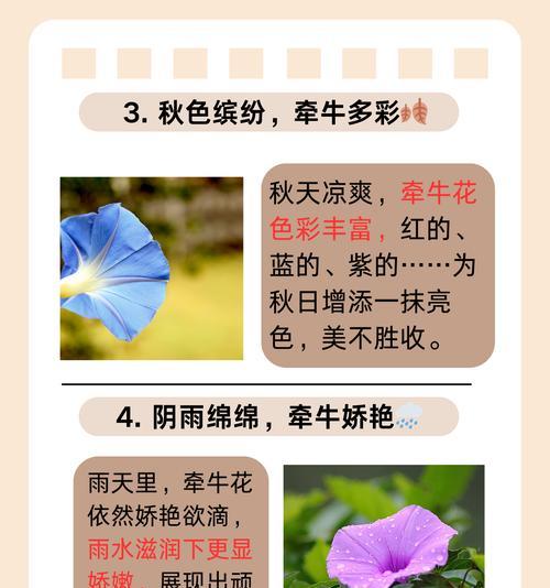 牵牛花修剪的最佳时机和方法是什么？