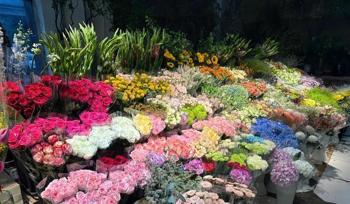 北京地区流行的花卉品种有哪些？如何选择适合北京的花卉品种？