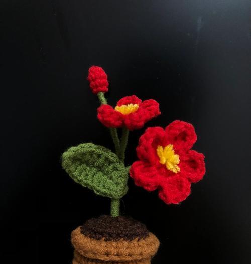 怎么制作小盆栽？步骤和技巧是什么？