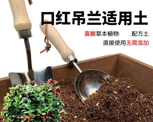 吊兰土壤选择：哪种土最适合种植吊兰？