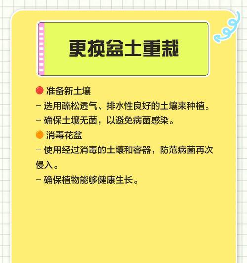 土培绿萝烂根怎么办？如何预防和处理？