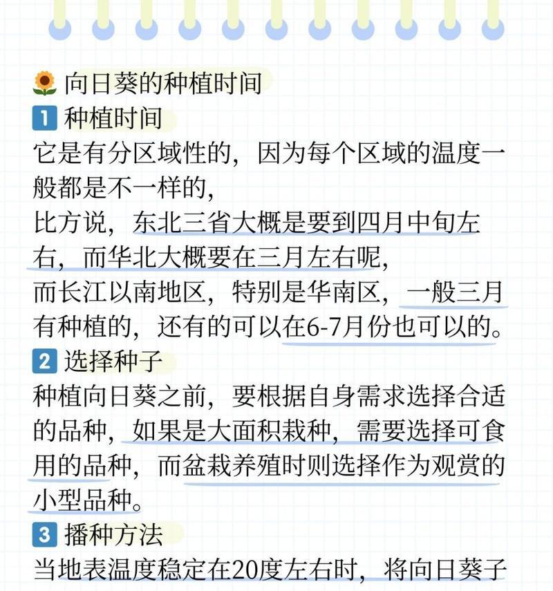 向日葵的种植和养护方法有哪些？