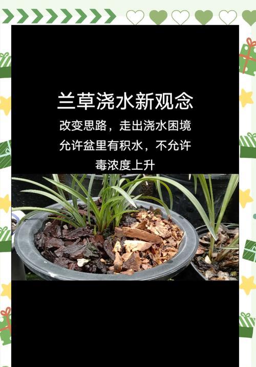 兰草繁殖方法有哪些？
