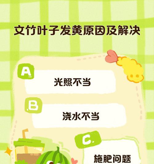 棕竹叶子发黄的原因是什么？棕竹叶子发黄后如何处理？