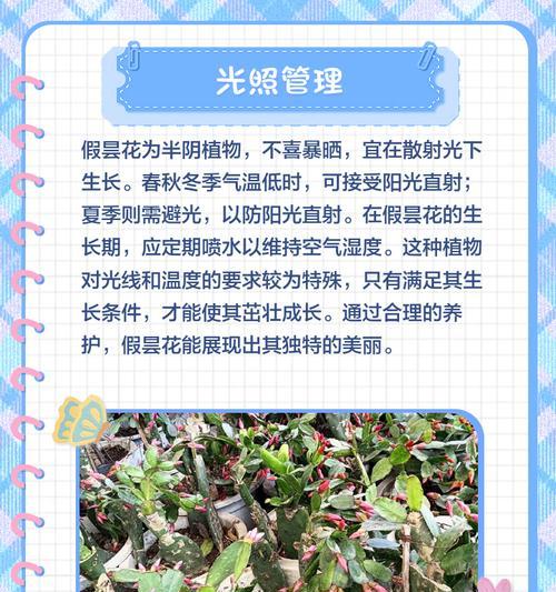昙花不开花的原因及解决方法是什么？
