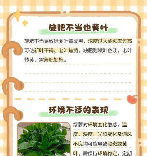 绿萝出现黑斑的解决方法是什么？如何处理绿萝黑斑？