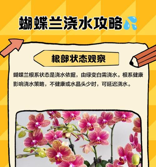 蝴蝶兰分株的最佳时机和方法是什么？