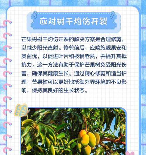 亡果树修剪枝的最佳时机是什么时候？修剪方法有哪些？