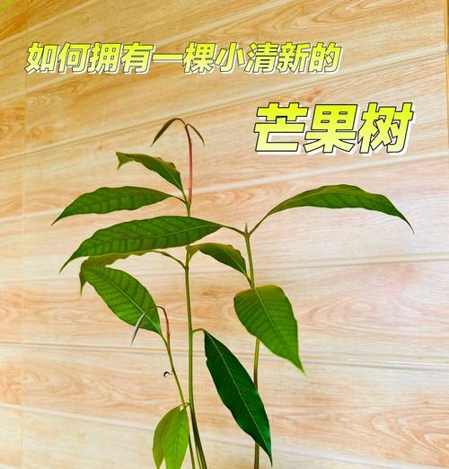 亡果树修剪枝的最佳时机是什么时候？修剪方法有哪些？