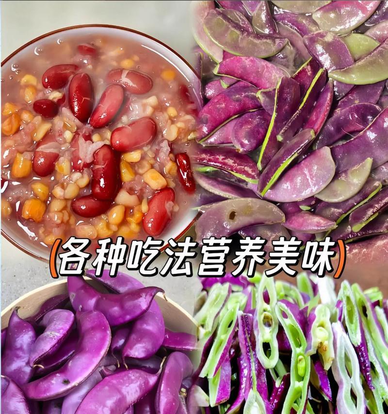 绿眉豆种子催芽成功后如何进行下一步？