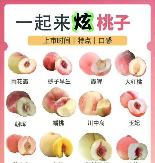 桃子脆桃怎么种植方法？在家也能轻松种植吗？