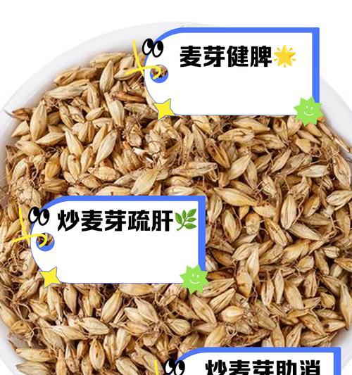 怎么用土种植麦芽方法？步骤和注意事项是什么？