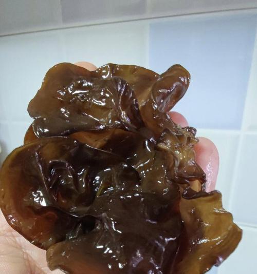 大黑脆瓜种植方法有哪些？如何确保高产丰收？