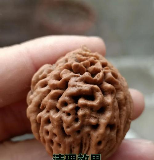 新鲜桃核催芽方法有哪些？最快催芽技巧是什么？