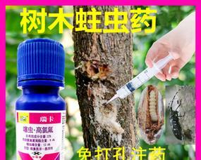 无花果催芽剂使用方法是什么？如何正确使用以提高发芽率？