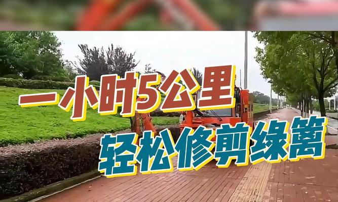 草地太少修剪枝条的最佳方法是什么？