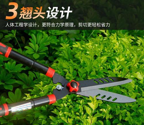 草地太少修剪枝条的最佳方法是什么？