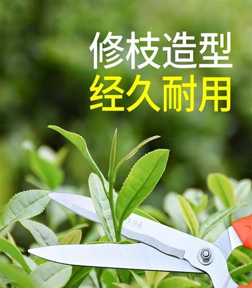 草地太少修剪枝条的最佳方法是什么？