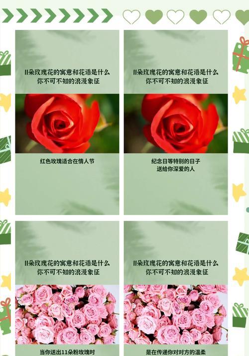 104朵花的寓意是什么意思？花语背后的含义有哪些？
