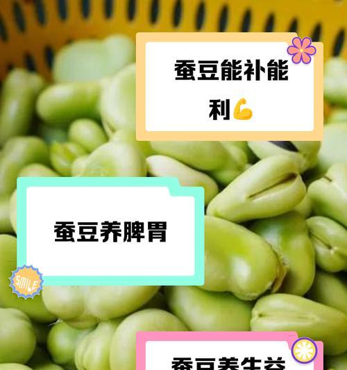怎么种植蚕豆苗的方法？步骤和注意事项有哪些？