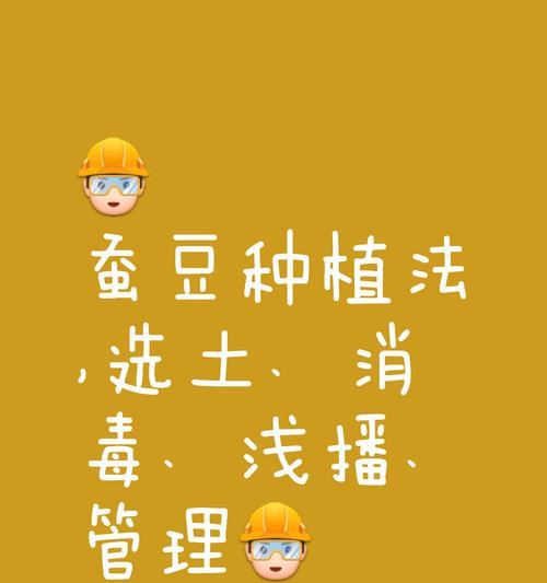 怎么种植蚕豆苗的方法？步骤和注意事项有哪些？