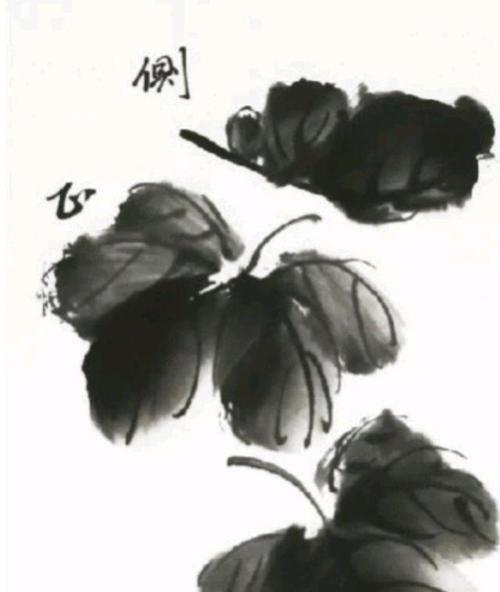 家养葫芦修剪枝条的最佳时机是什么时候？如何正确修剪以促进生长？
