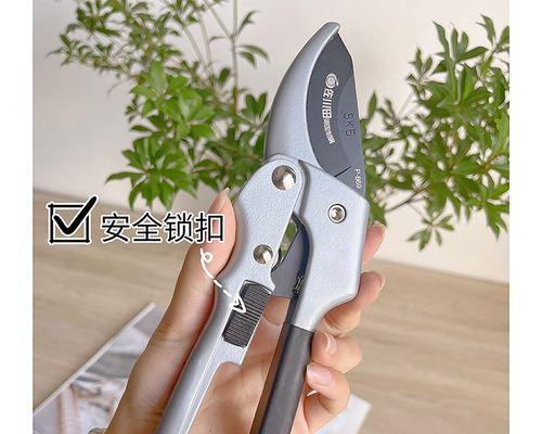 庭院修剪枝条怎么修剪？修剪的最佳时间是什么时候？
