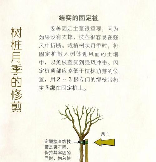 庭院修剪枝条怎么修剪？修剪的最佳时间是什么时候？