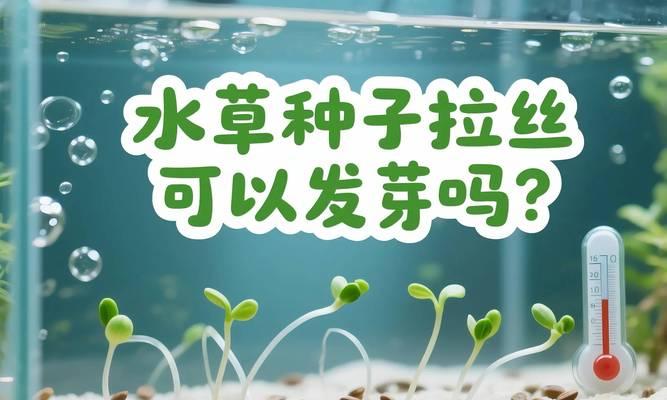 水草催芽方法是什么？需要多长时间才能发芽？