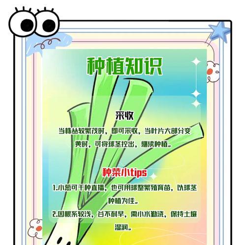 大香葱果子怎么种植方法？步骤和注意事项是什么？