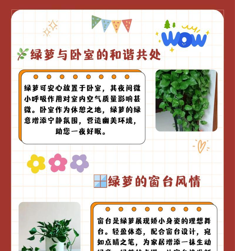 绿萝种子种植方法是什么？如何确保绿萝种子成功发芽？