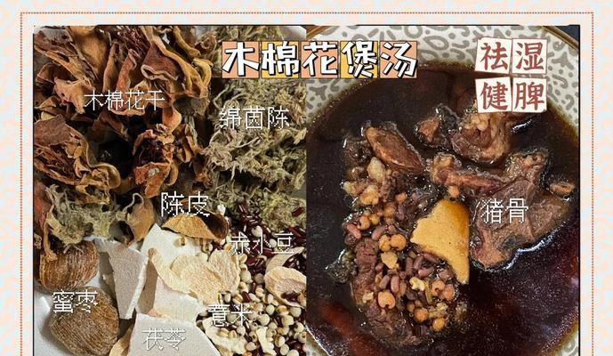 木棉种子催芽方法是什么？需要多长时间才能发芽？