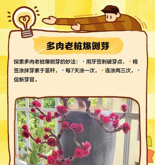 老桩到底怎么种植方法？有哪些步骤和注意事项？