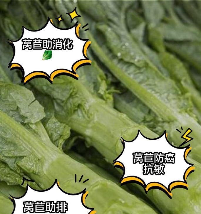 莴笋催芽和种子发芽的正确方法是什么？