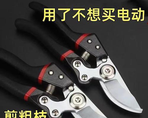 修剪枝条苗木怎么修剪？正确的修剪方法和注意事项是什么？