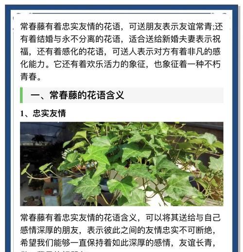 藤生植物怎么种植方法？有哪些步骤和注意事项？