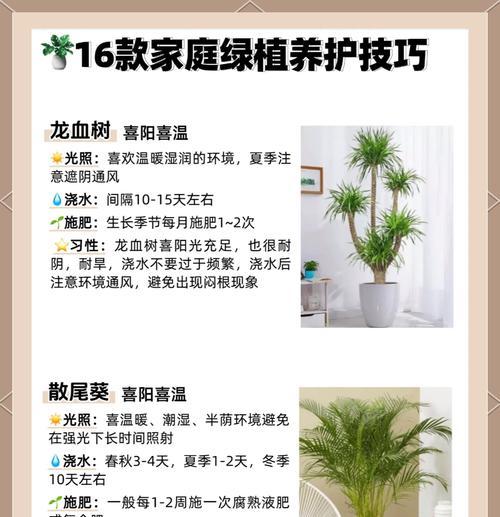 怎么选择芽条种植方法？芽条种植有哪些技巧和注意事项？