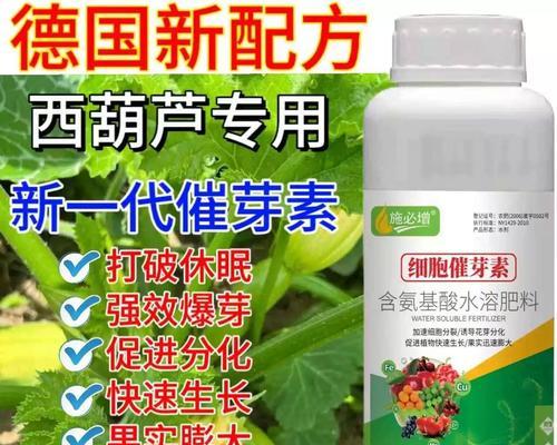 西葫芦催芽后播种方法是什么？需要注意哪些事项？
