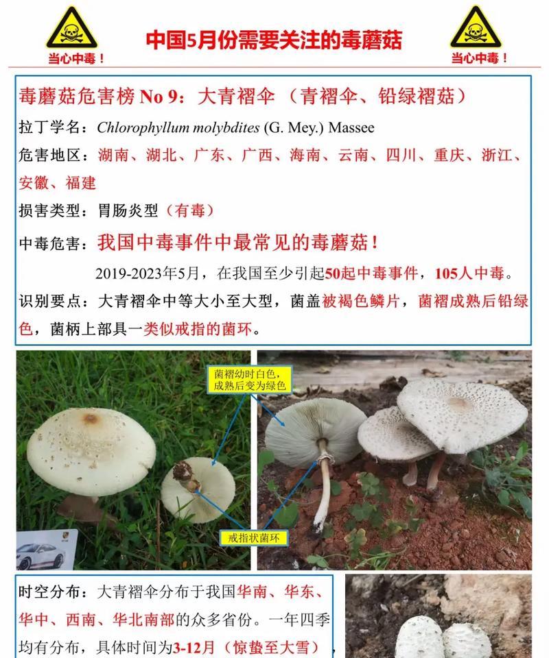 磨姑种植方法是什么？如何正确种植磨姑？