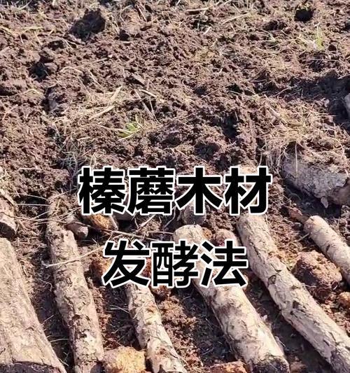 磨姑种植方法是什么？如何正确种植磨姑？
