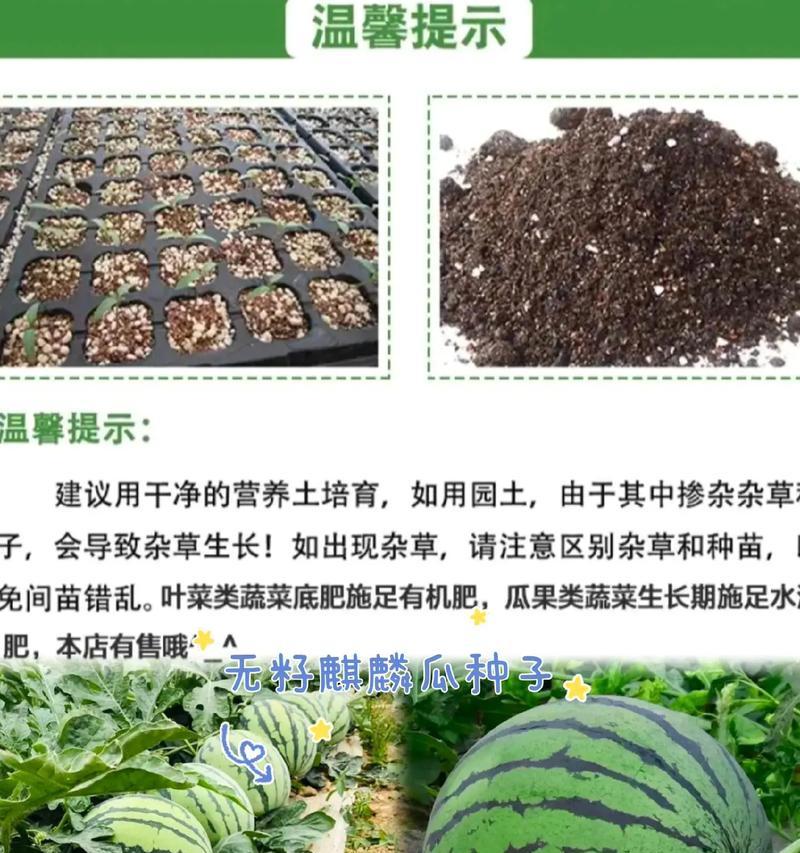 地栽瓜种植方法有哪些？如何确保瓜果丰收？
