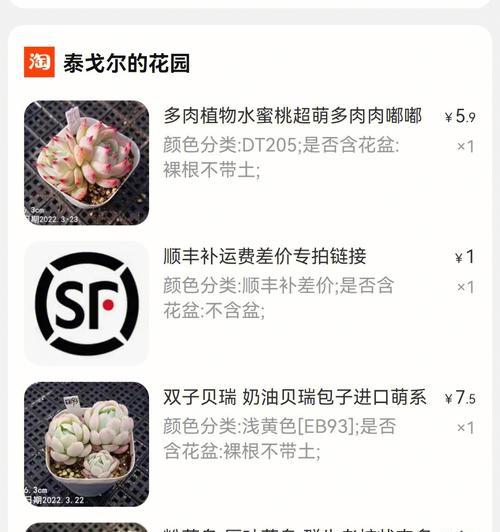 裸根冰梅种植方法是什么？如何确保成活率高？