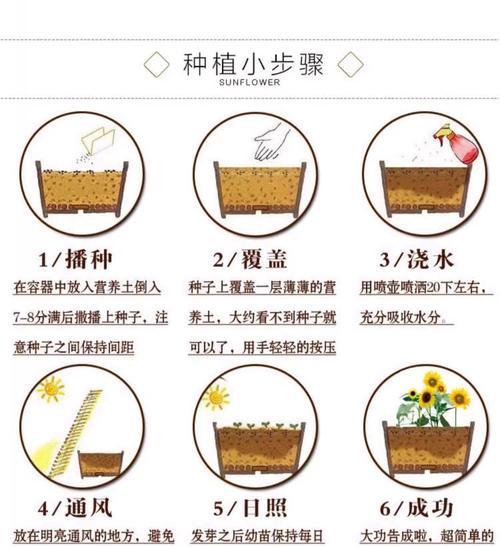 腊梅花怎么摘？种植方法有哪些常见问题？