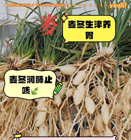 麦冬种植方法是什么？如何正确种植麦冬？