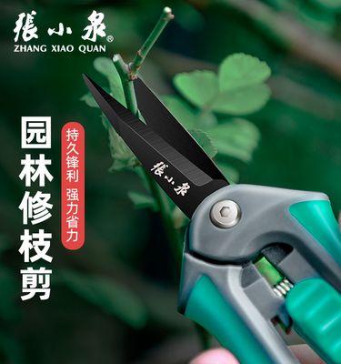 开始修剪枝条怎么修剪的？修剪枝条的正确步骤和注意事项是什么？