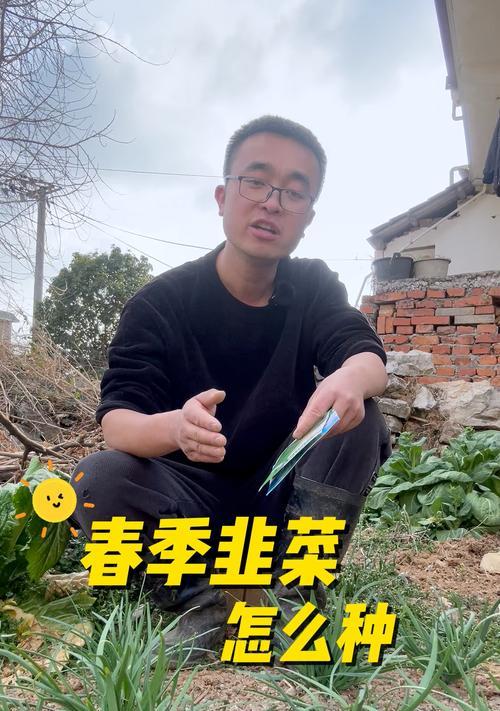 韭菜催芽方法是什么？需要多长时间才能发芽？