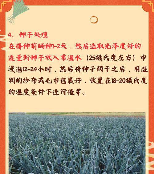 韭菜催芽方法是什么？需要多长时间才能发芽？