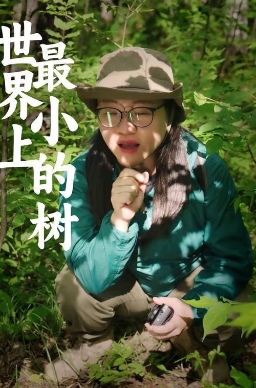 北极花种植方法有哪些步骤？如何确保成活率高？