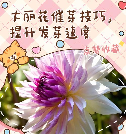 植物催芽不发芽怎么办？有效解决方法有哪些？