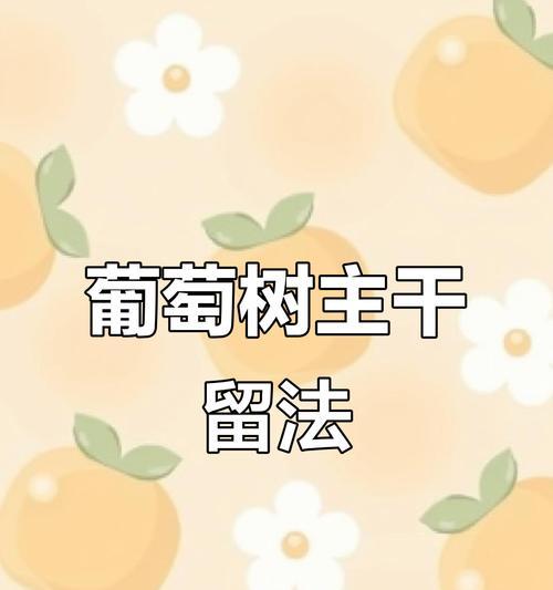 修剪葡萄枝条的最佳时间是什么时候？如何正确修剪以提高产量？